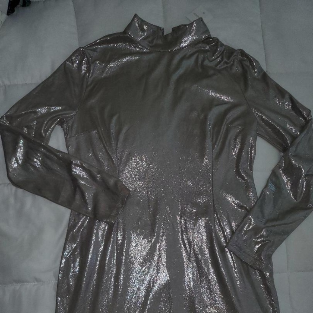 Gold/Silver Dress